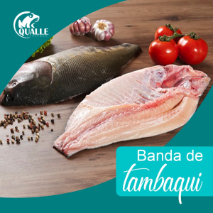 Banda de Tambaqui