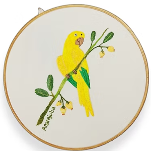 Quadro Bastidor Ararajuba - Tamanho 25 cm bordado à mão