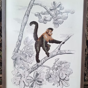 Quadro com moldura Macaco-Prego - Tamanho 47x27 cm bordado à mão