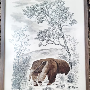Quadro com moldura Tamandúa - Tamanho 47x27 cm bordado à mão